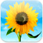 ios5-7fotoapp